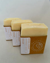 Load image into Gallery viewer, Retro Dish Soap Shaker + Dish Soap